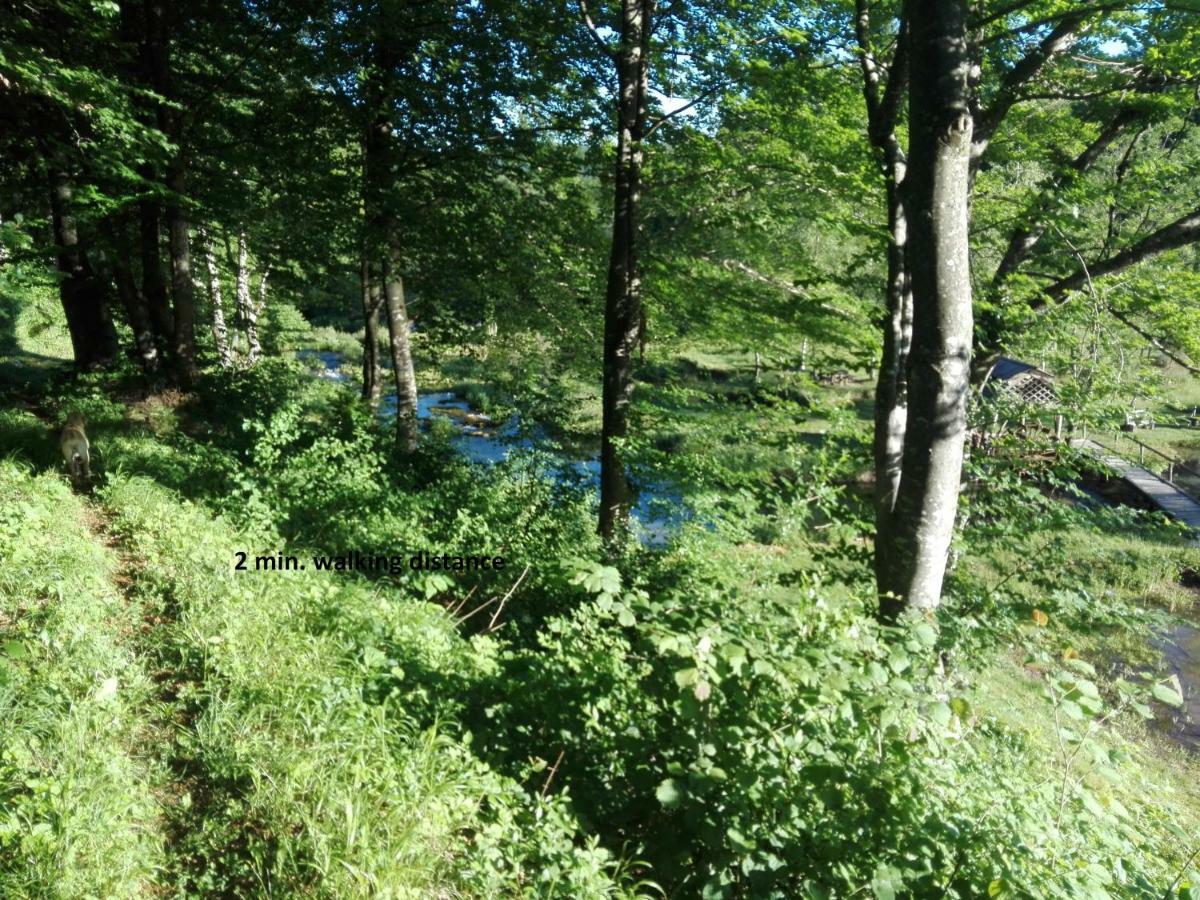 House By The River Plitvica selo Bagian luar foto