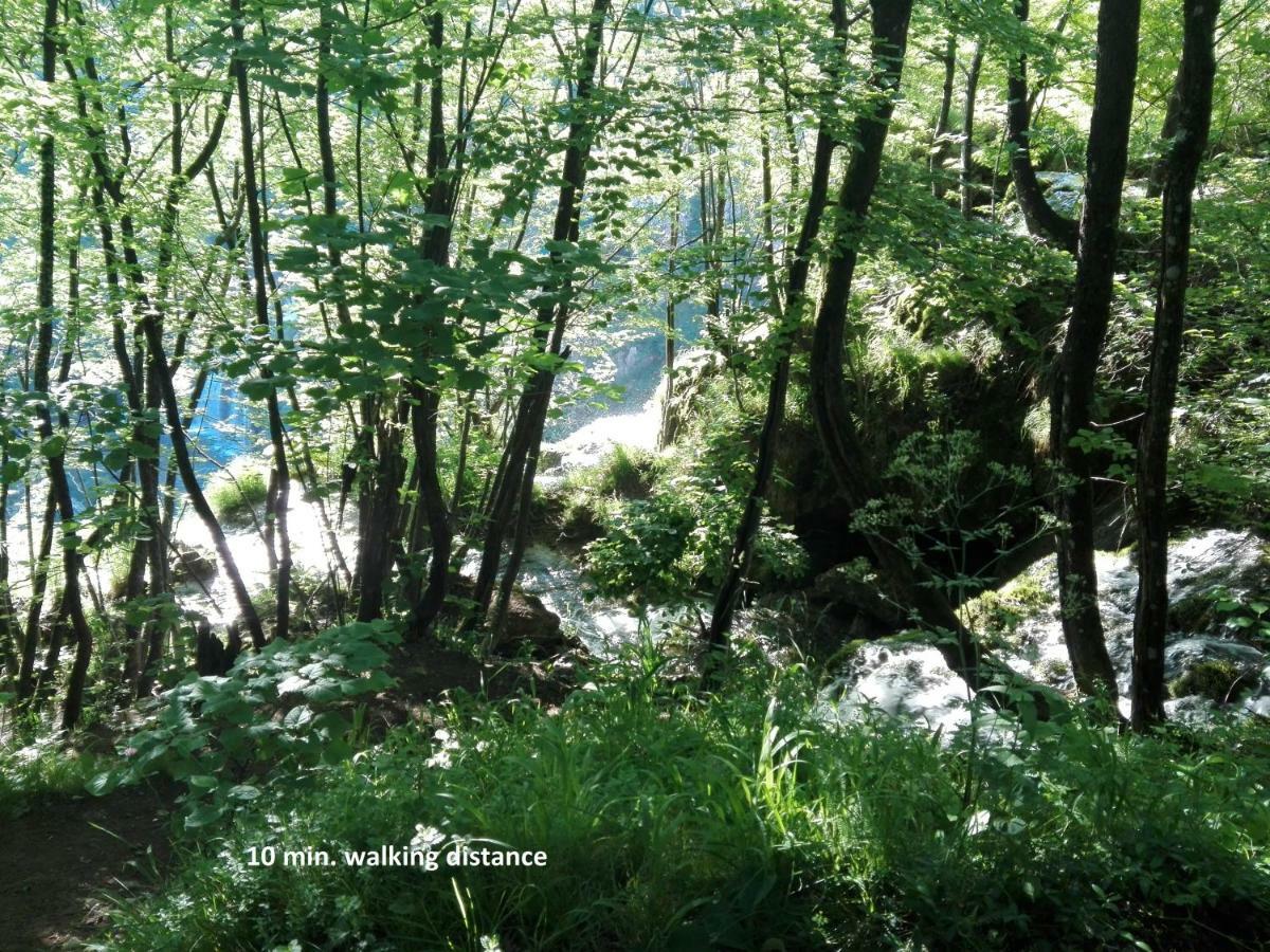 House By The River Plitvica selo Bagian luar foto