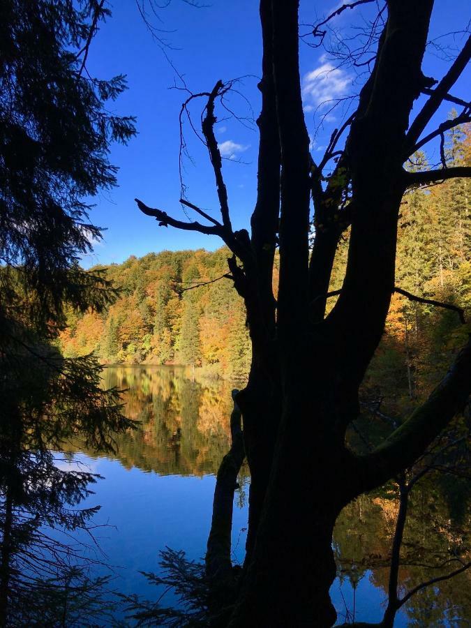 House By The River Plitvica selo Bagian luar foto