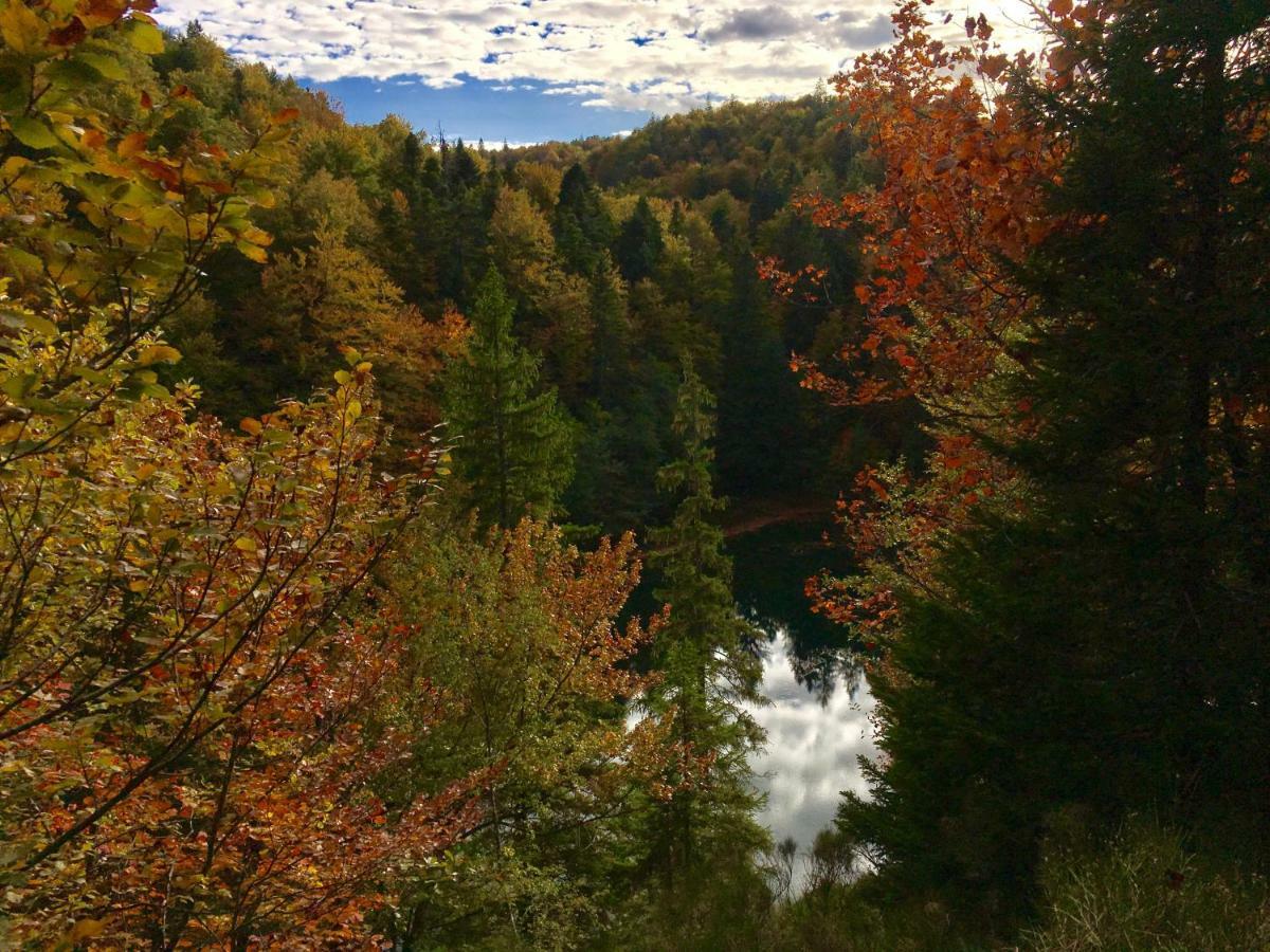 House By The River Plitvica selo Bagian luar foto